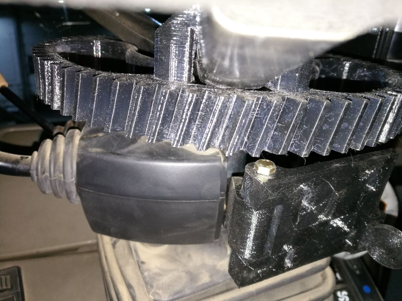 Detalle de dientes y ajuste de corona impresa